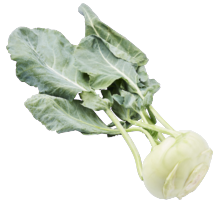 Koolrabi
